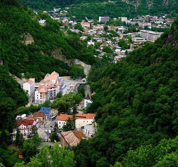 تعرفوا على الحياة البرية في جورجيا مع أطفالكم